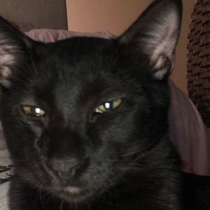 Meet your Posher, Stacy